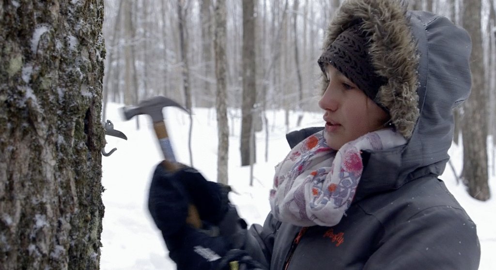 Photo du film Le Goût d'un pays