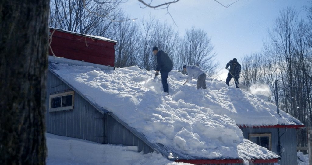 Photo du film Le Goût d'un pays