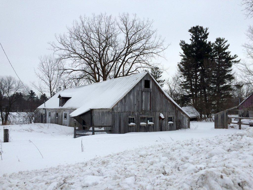 Photo du film Le Goût d'un pays
