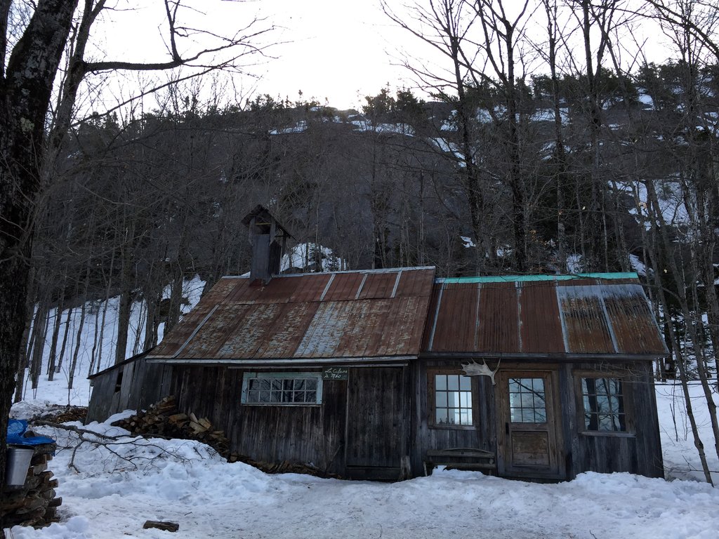 Photo du film Le Goût d'un pays