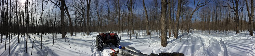 Photo du film Le Goût d'un pays