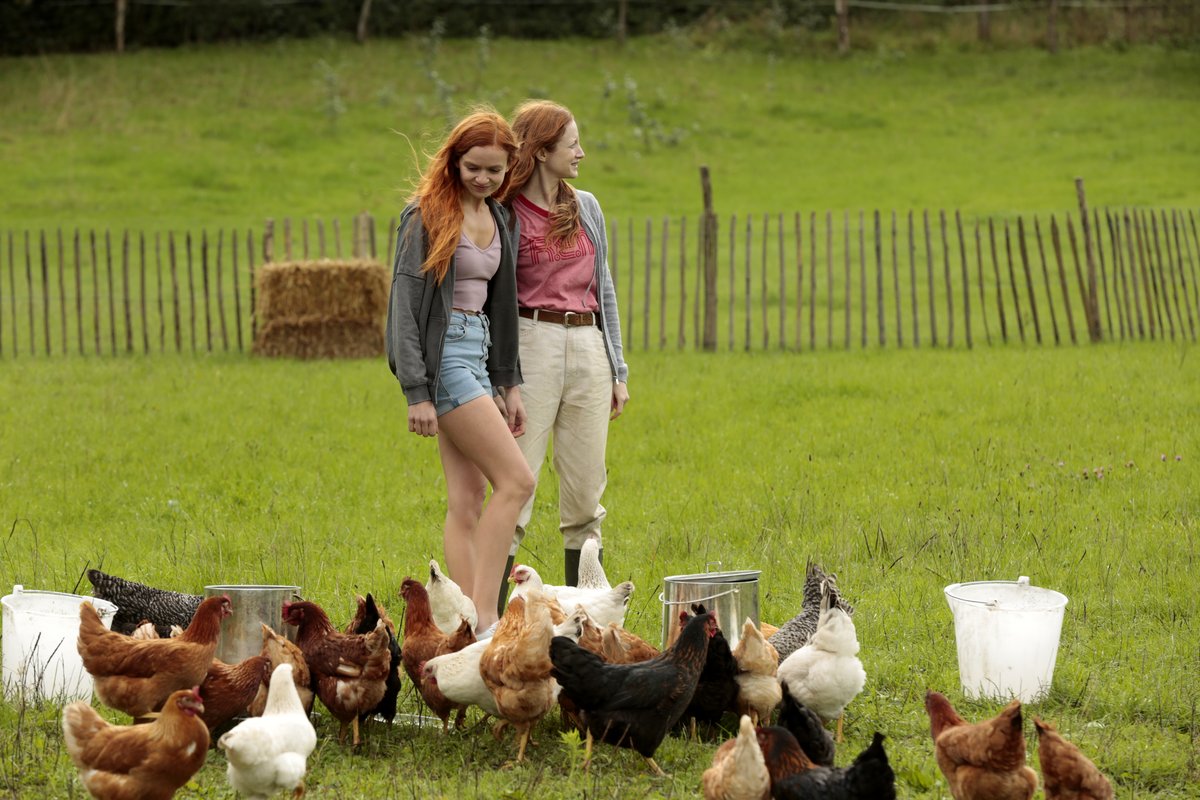 Photo du film Funny Birds