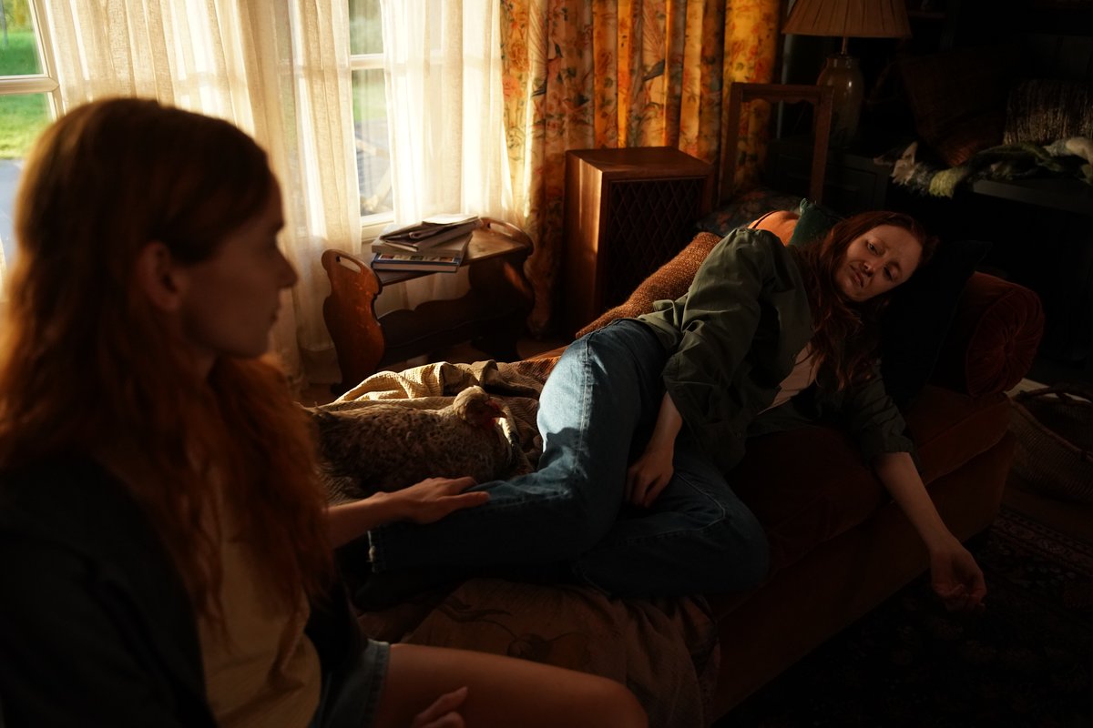 Photo du film Funny Birds