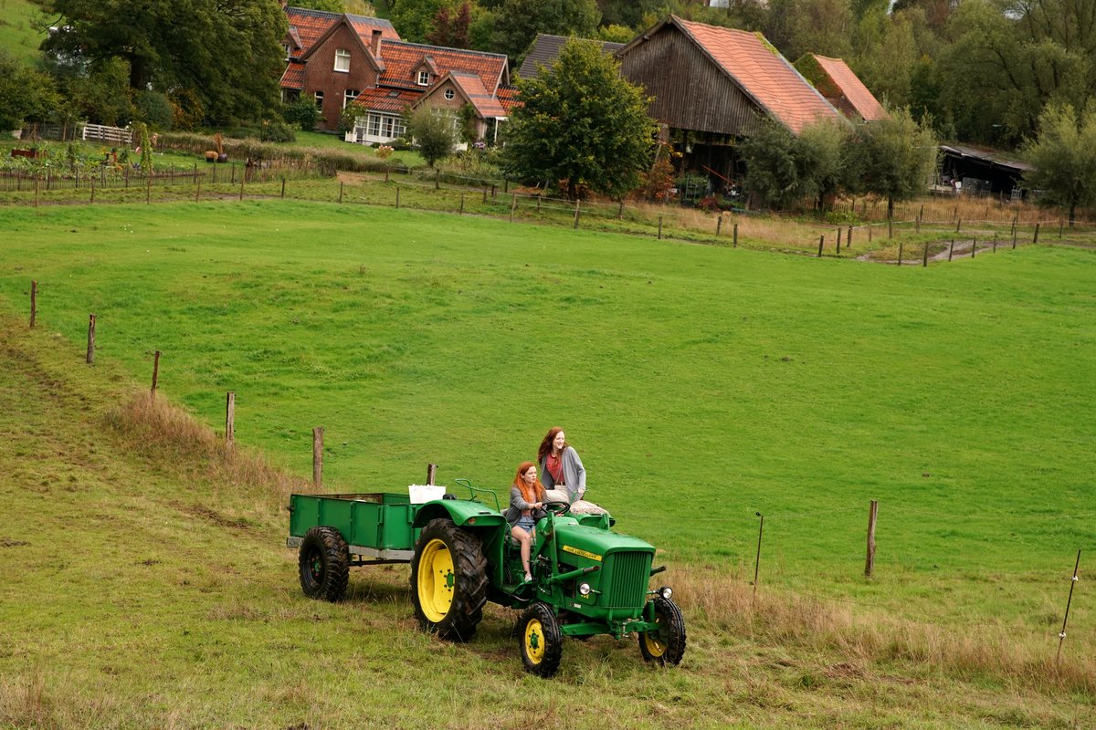 Photo du film Funny Birds