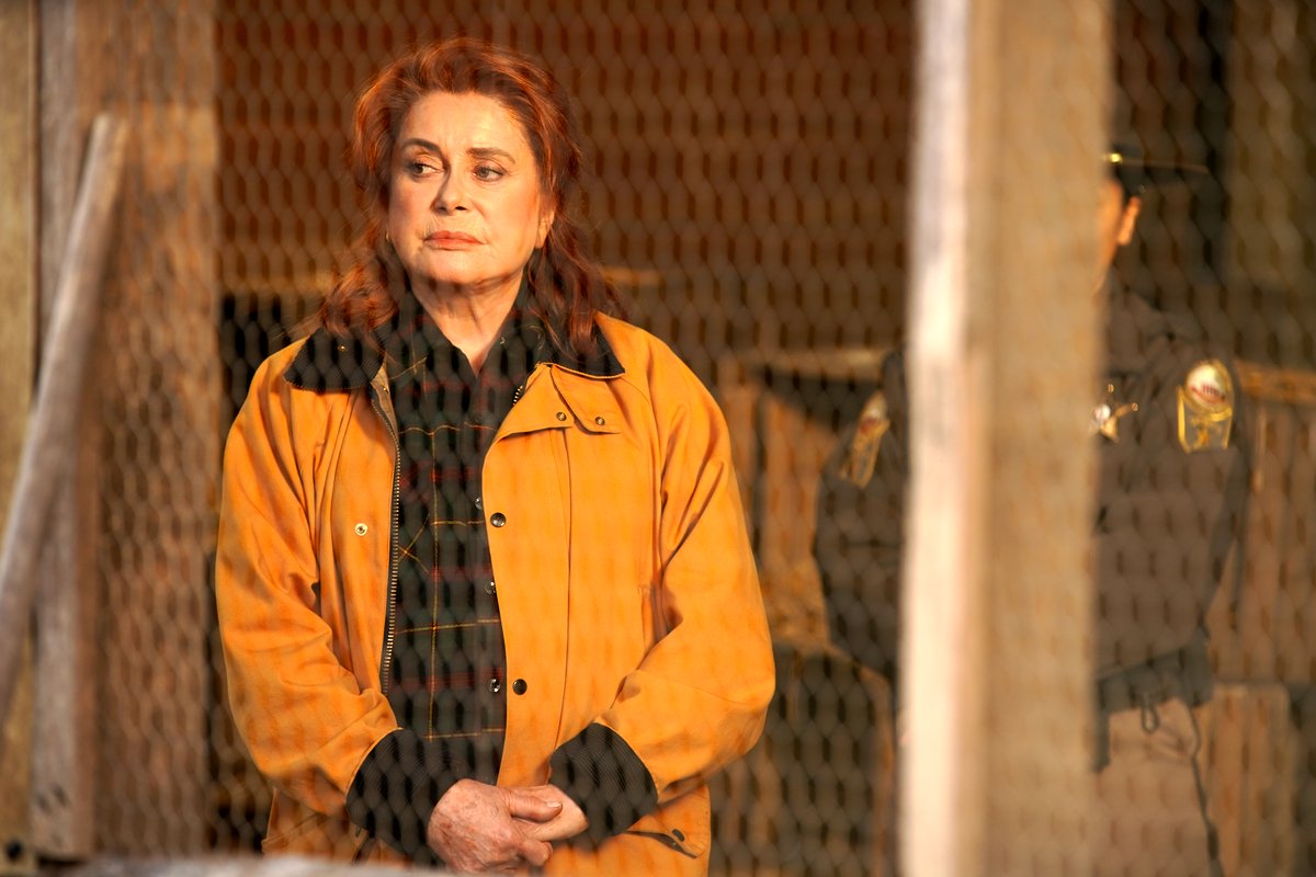 Photo du film Funny Birds