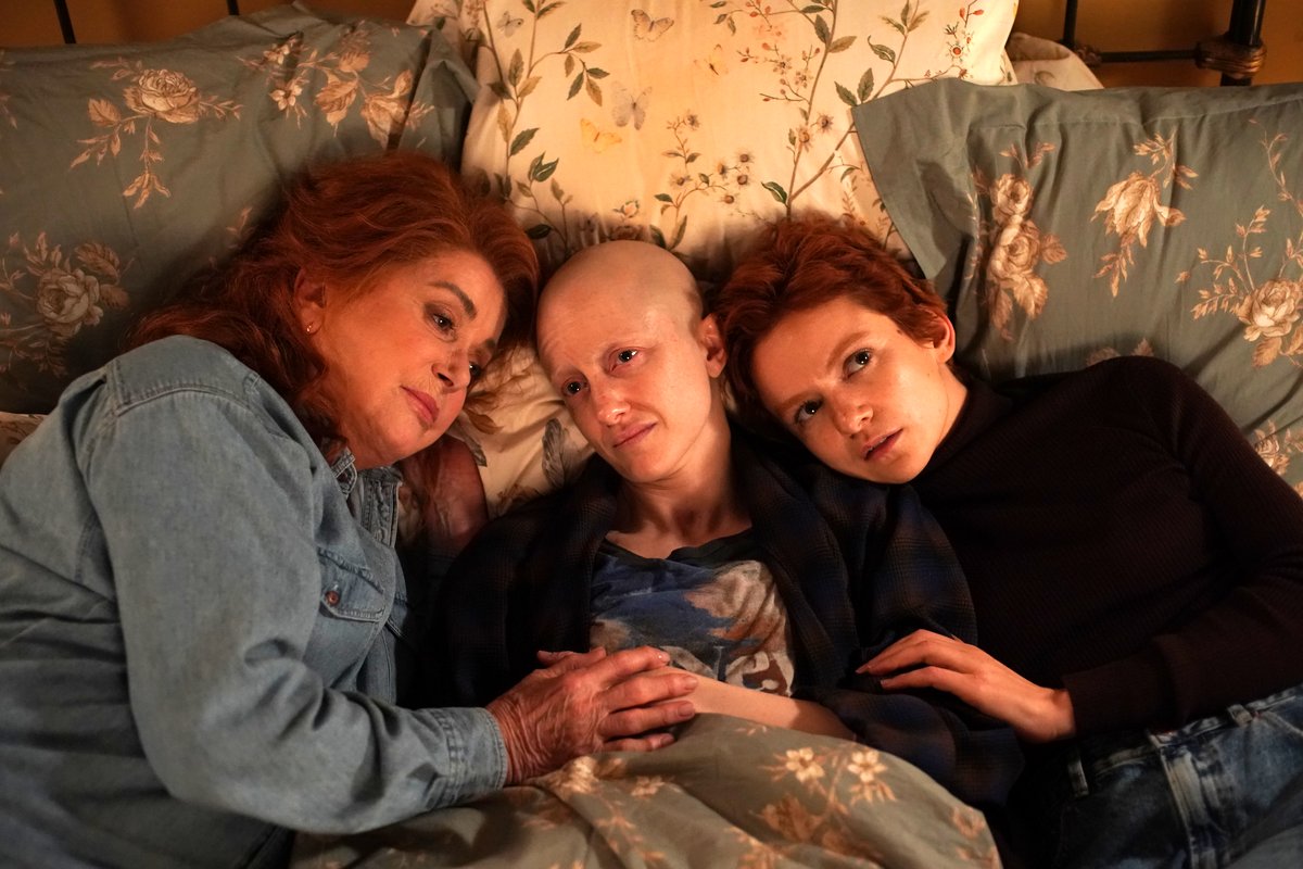 Photo du film Funny Birds