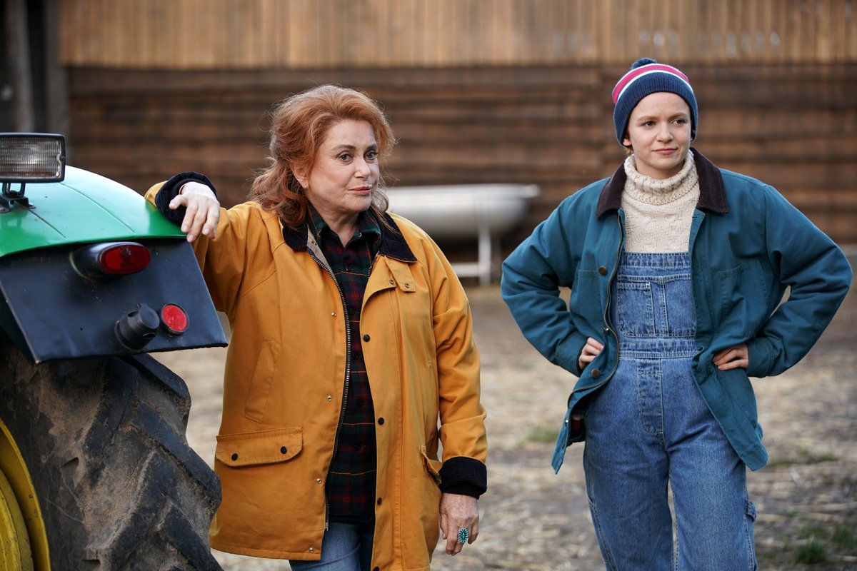 Photo du film Funny Birds