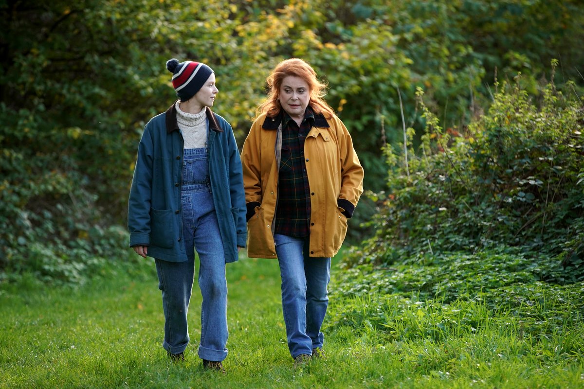 Photo du film Funny Birds