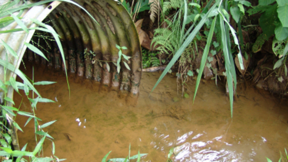 Photo du film Keepers of Eden