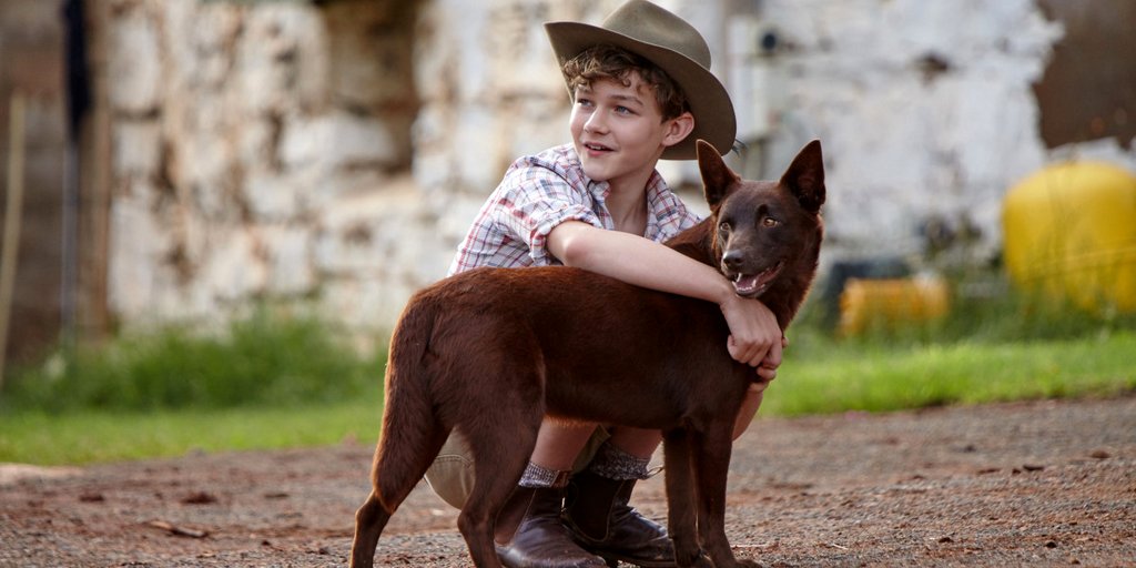 Photo from the movie Red Dog: True Blue