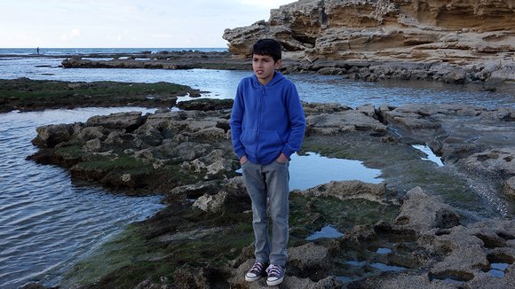 Photo du film The Idol [2015]