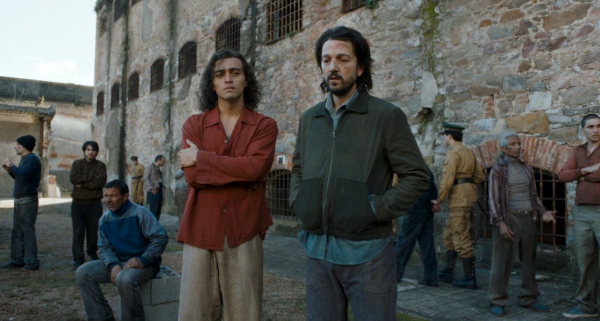 Photo du film Le baiser de la femme araignée