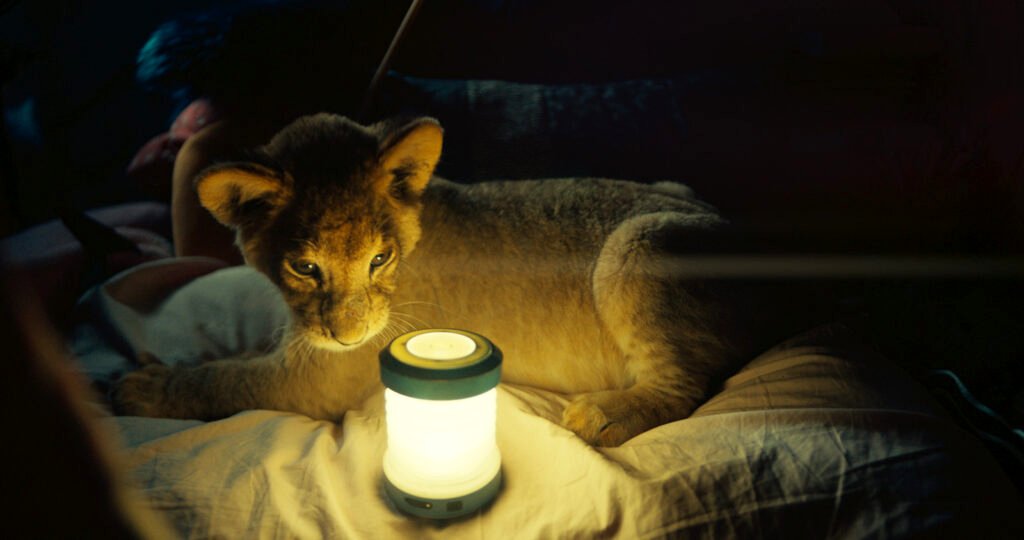 Photo from the movie King