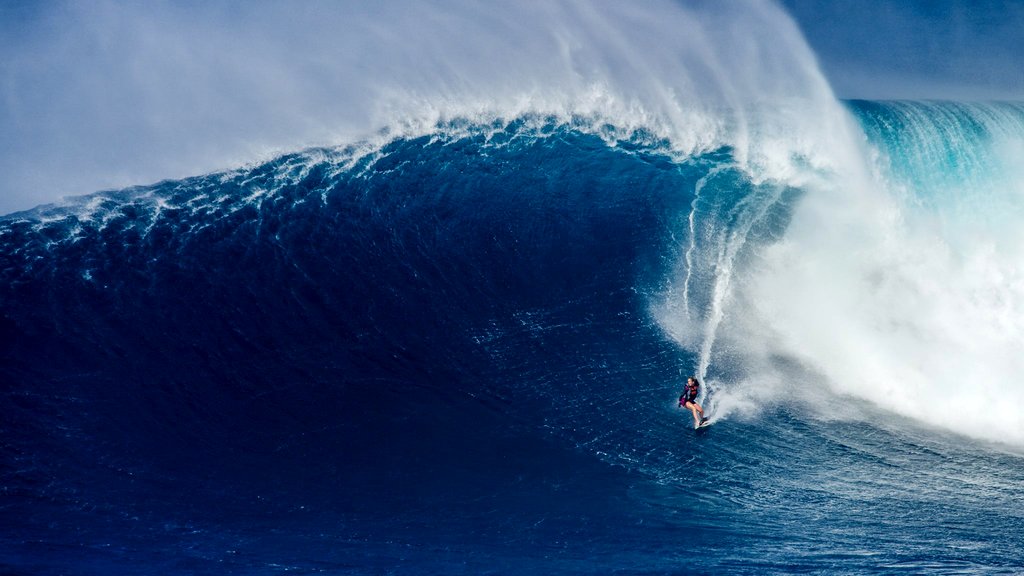Photo from the movie Bethany Hamilton: Unstoppable