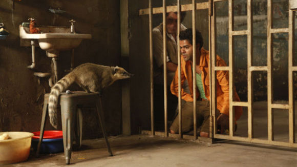 Photo from the movie HOUBA! on the Trail of the Marsupilami