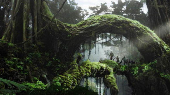 Photo du film King Kong v.f.