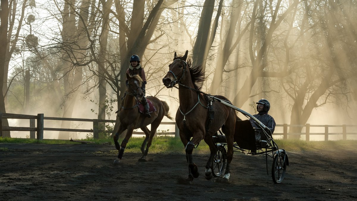 Photo from the movie Ride Above
