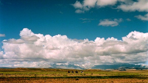 Photo from the movie The Sky Trembles and the Earth is Afraid and the Two Eyes Are Not Brothers [2015]