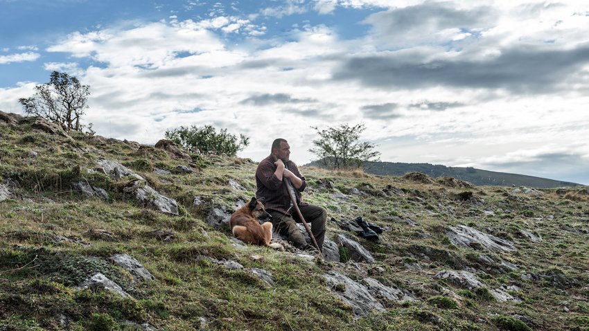 Photo du film The Beasts