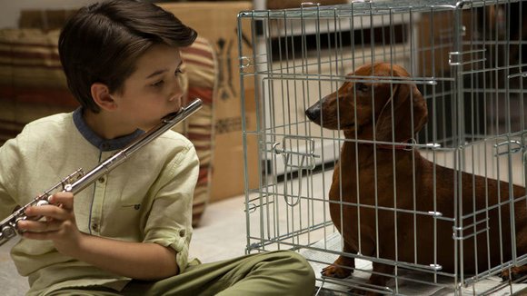Photo du film Wiener-Dog