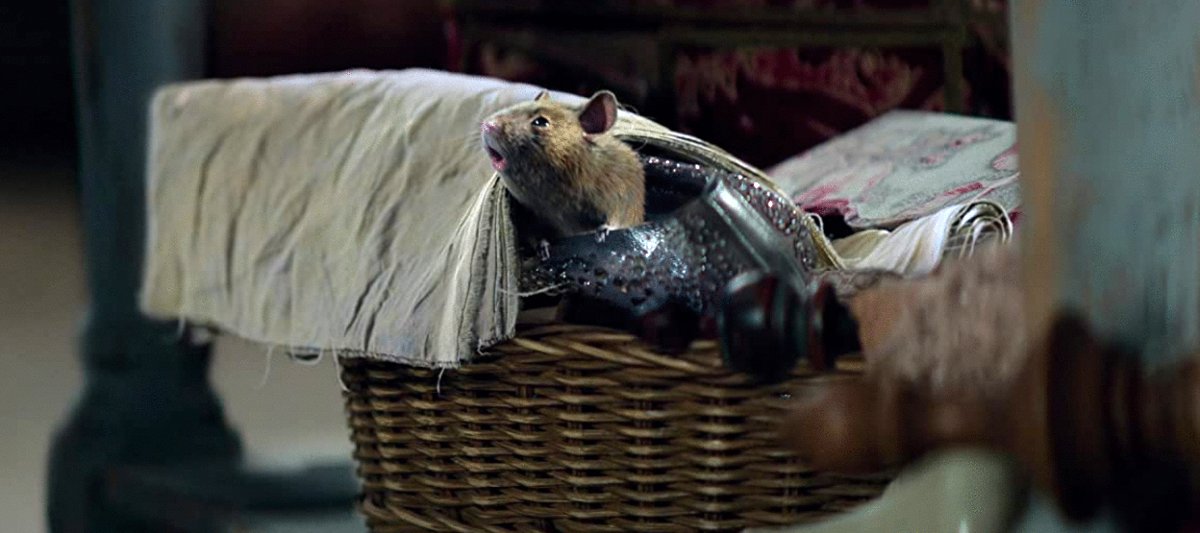 Photo du film Cendrillon