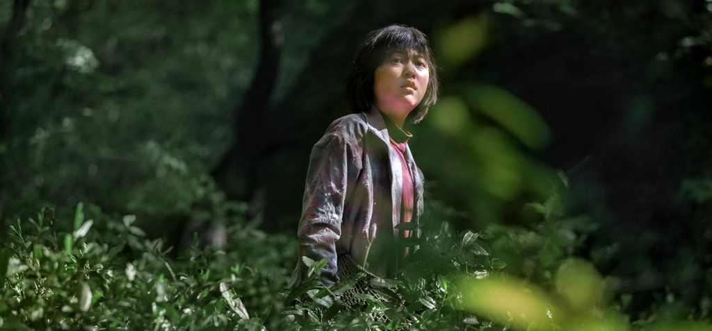 Photo du film Okja