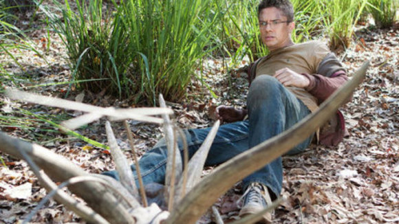 Photo du film Les Prédateurs