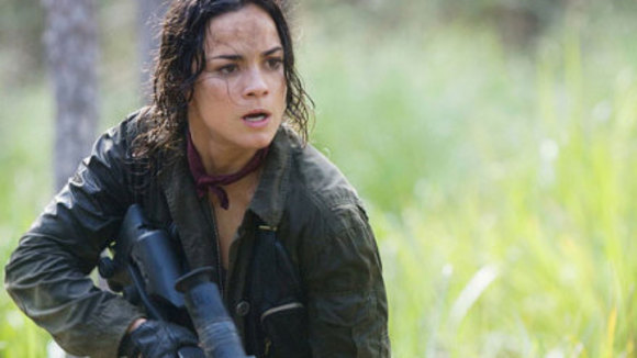 Photo du film Les Prédateurs