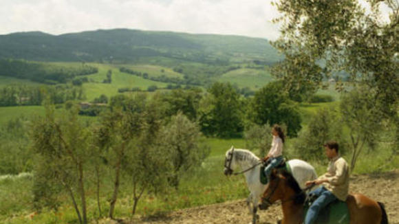 Photo du film Des ombres au soleil