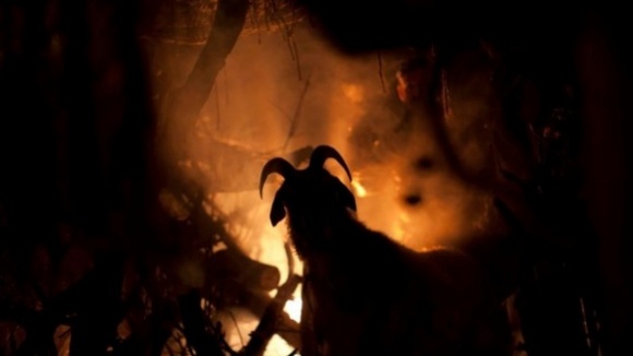 Photo du film The Lords of Salem