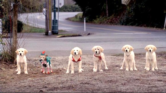 Photo from the movie Santa Buddies