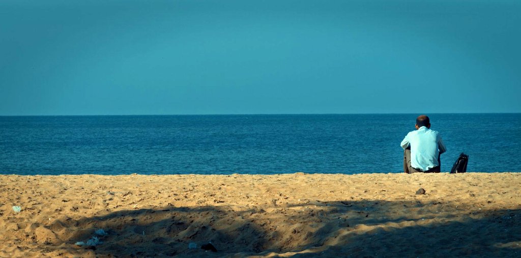 Photo du film Story of an egg [2017]