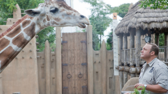 Photo du film The Zookeeper