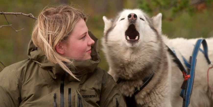 Photo from the movie Folktales [2025]