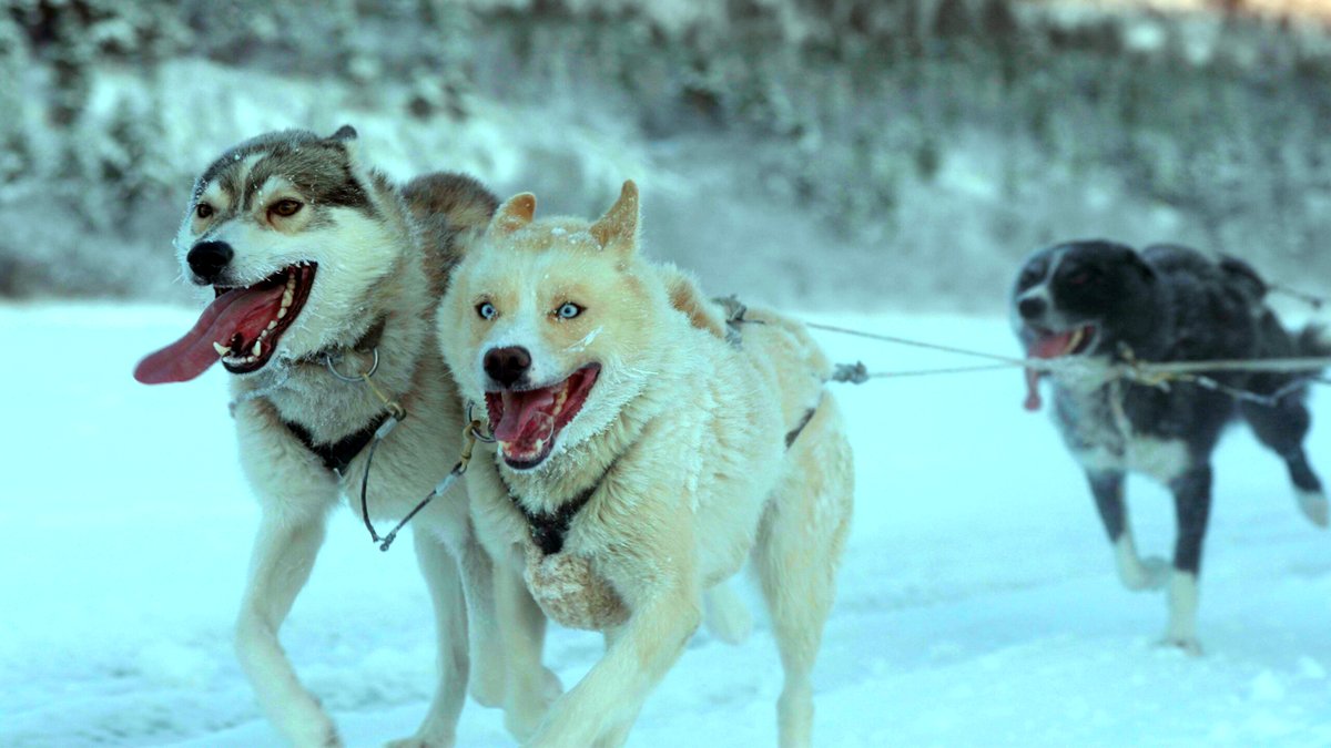 Photo from the movie Folktales [2025]