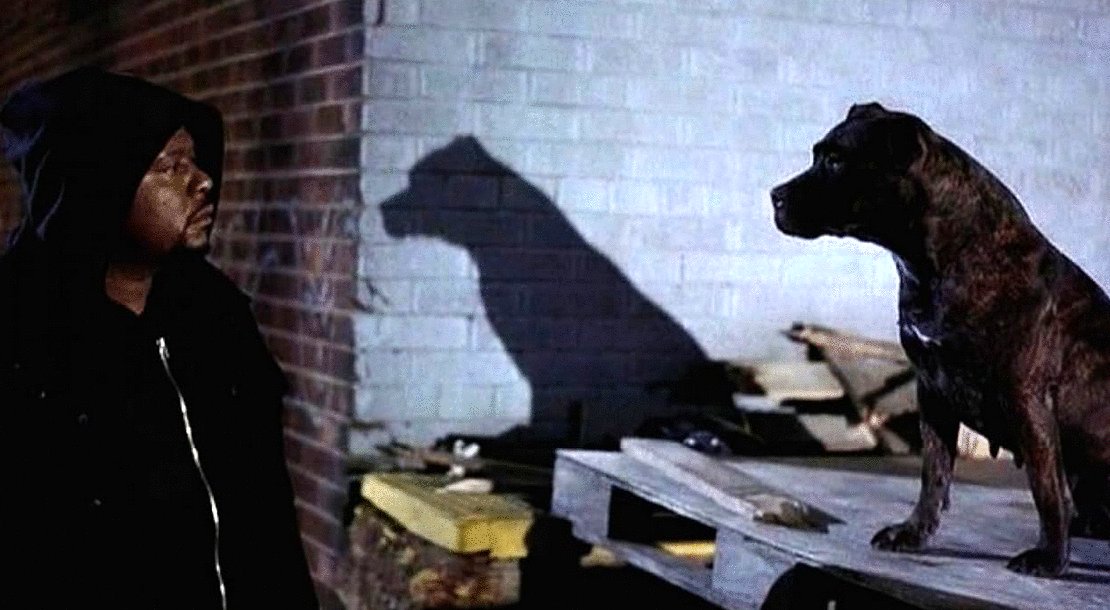 Photo du film Ghost Dog, la voie du samouraï