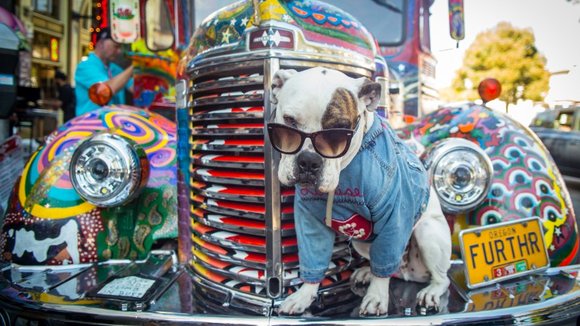 Photo du film Going Furthur