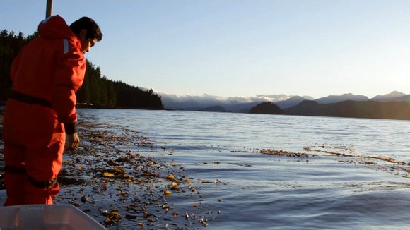 Photo from the movie Haida Gwaii: On the Edge of the World [2015]