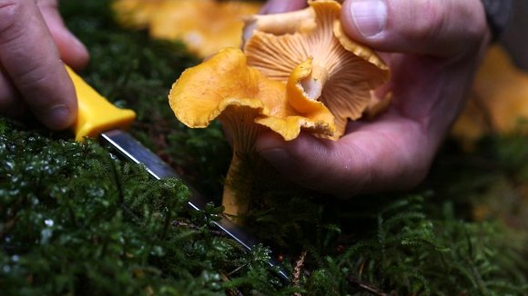 Photo from the movie Haida Gwaii: On the Edge of the World [2015]