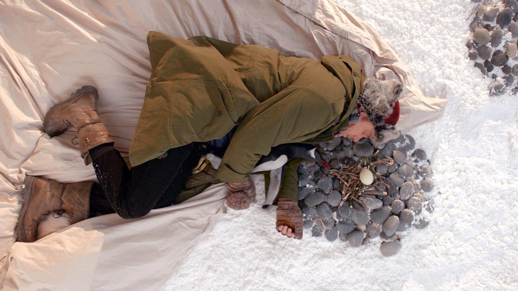 Photo du film M. Popper et ses manchots