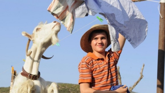 Photo from the movie Nicostratos le pélican