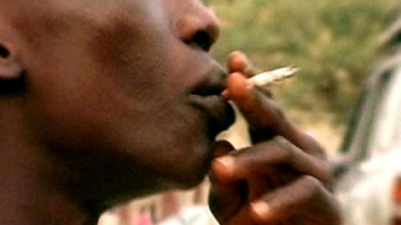 Photo from the movie Tabac: La Conspiration [2006]