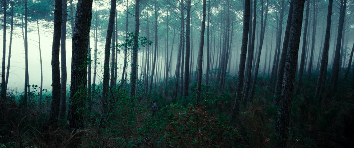 Photo du film The Animal Kingdom [2023]