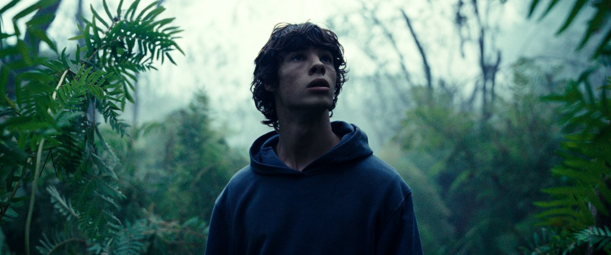 Photo du film The Animal Kingdom [2023]