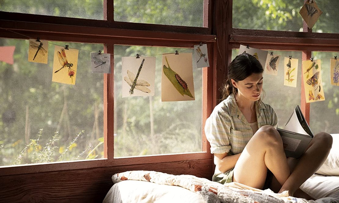 Photo du film Là où chantent les écrevisses