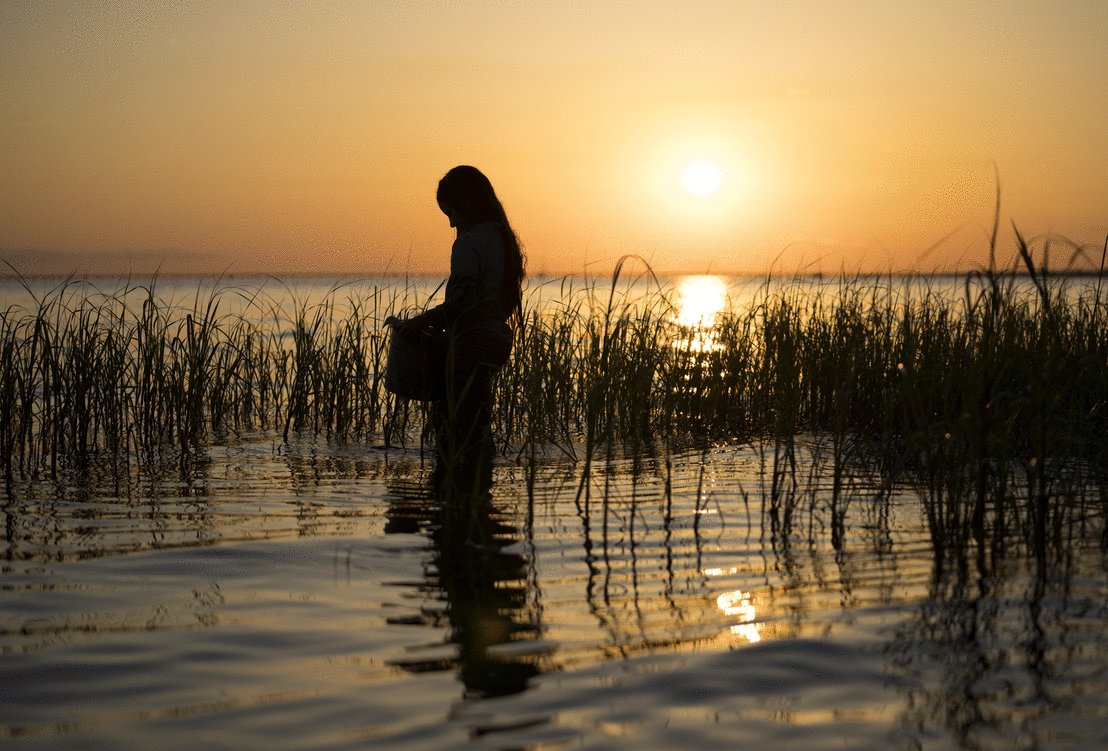 Photo du film Là où chantent les écrevisses
