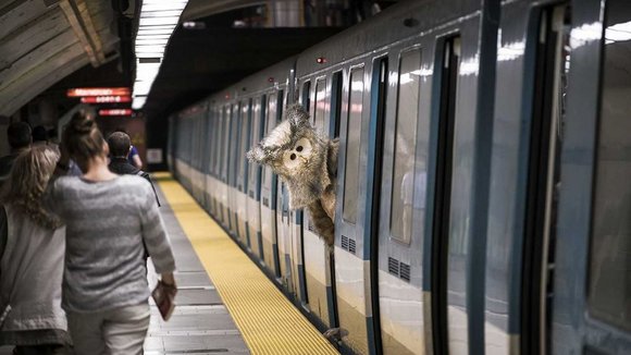 Photo from the movie Hibou