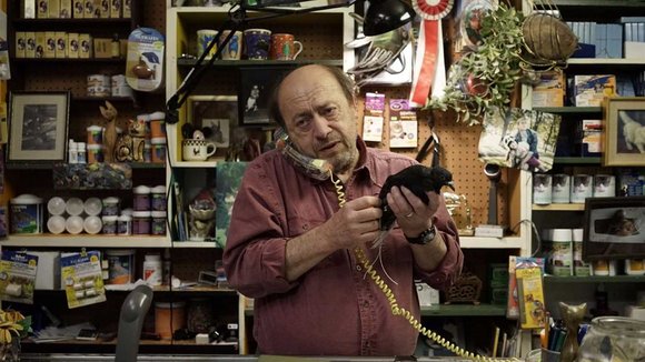 Photo from the movie Hibou