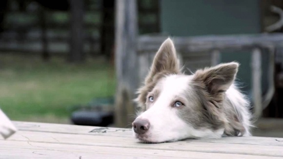 Photo from the movie The Adventures of Pepper and Paula [2015]