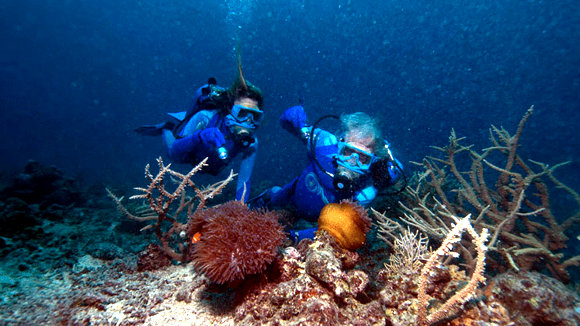 Photo from the movie Jean-Michel Cousteau's Secret Ocean